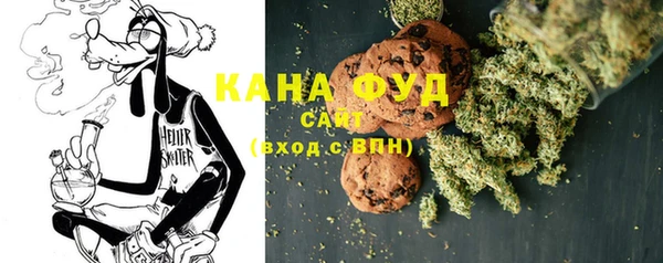 хмурый Алзамай
