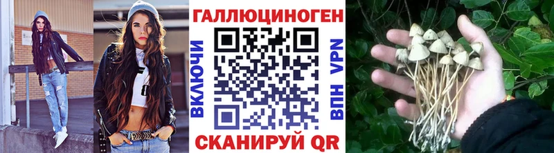 Псилоцибиновые грибы мухоморы  omg ссылка  Хадыженск 